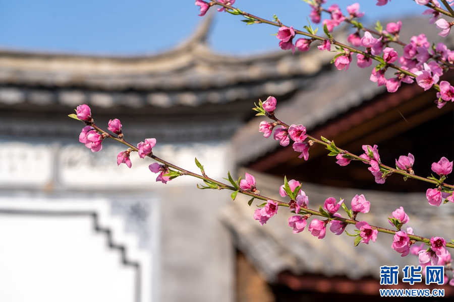 云南省文化和旅游厅