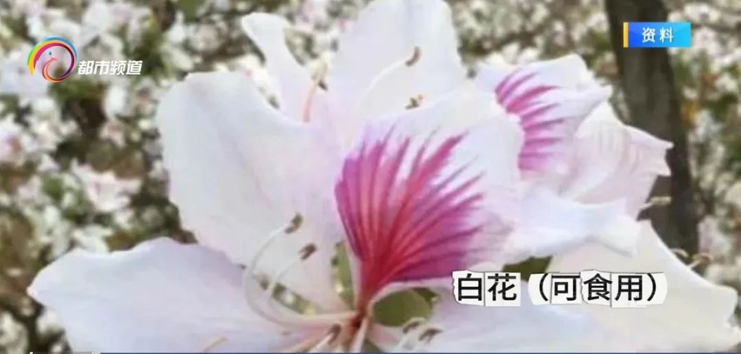 昆明信息港/cnkmxxg
