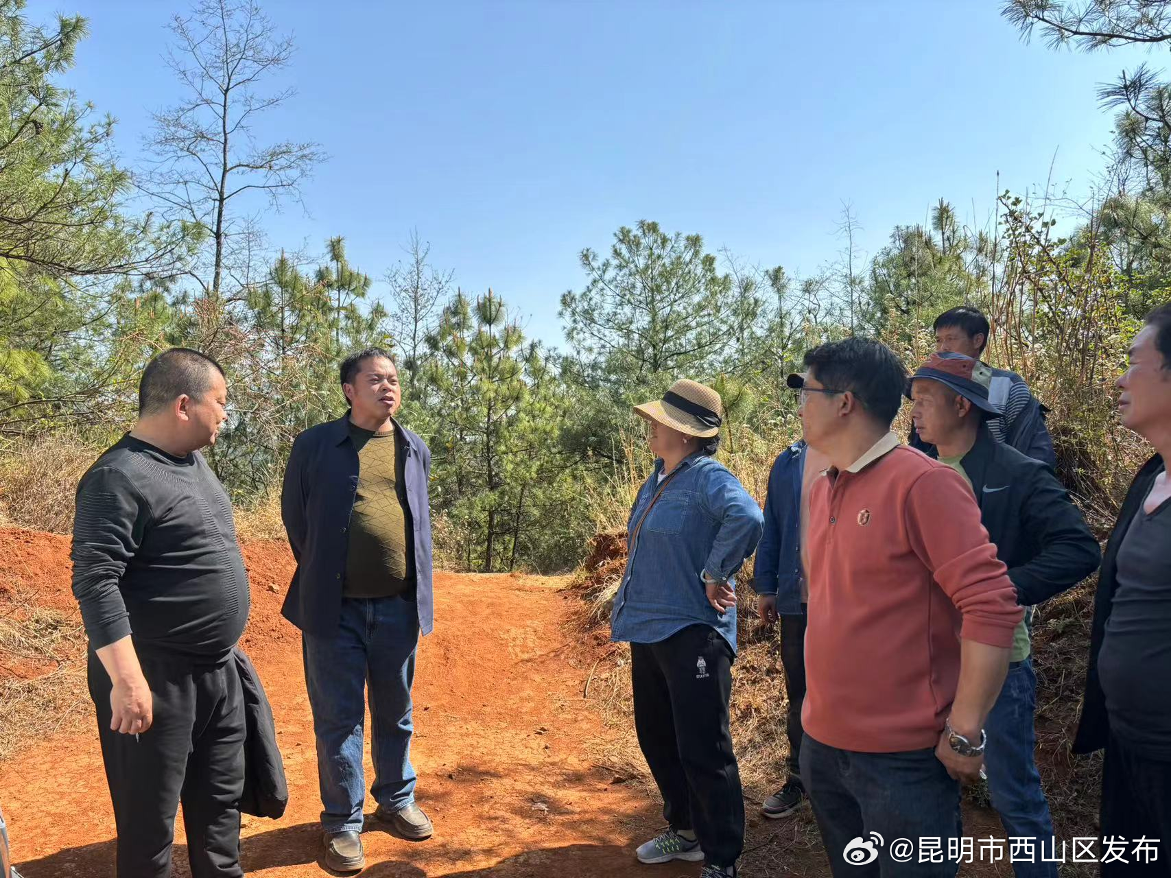 昆明市西山区发布