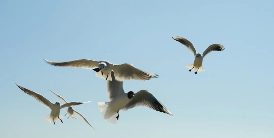 晋宁诗意的栖居地