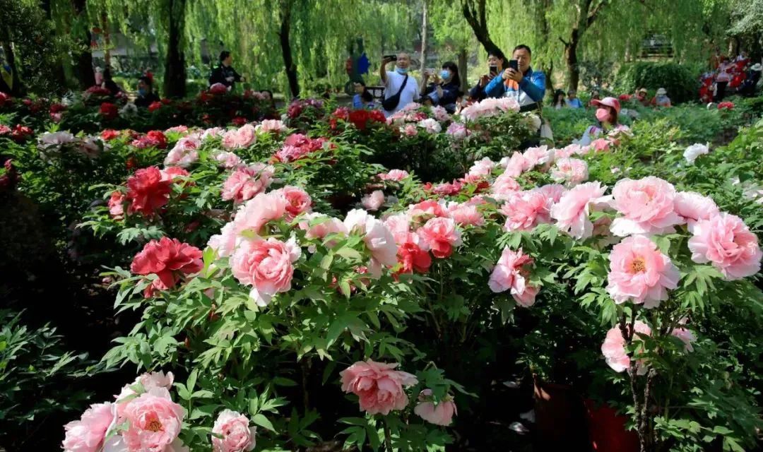 云南省文化和旅游厅