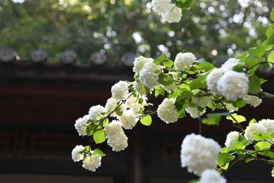 云南省文化和旅游厅