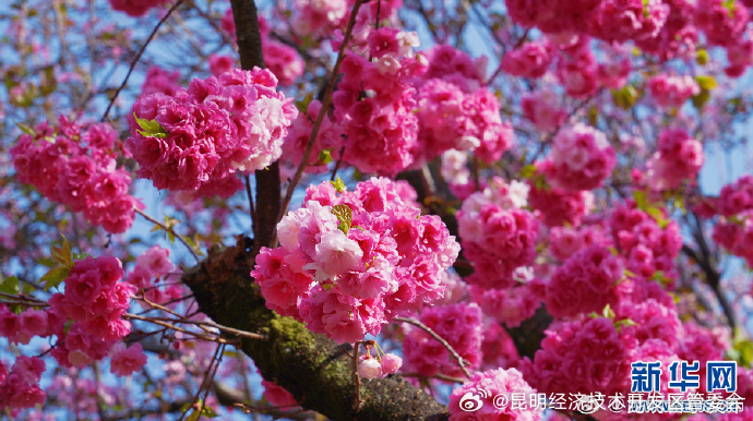 昆明经济技术开发区管委会
