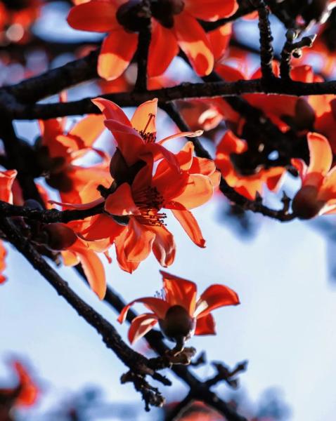 云南省文化和旅游厅