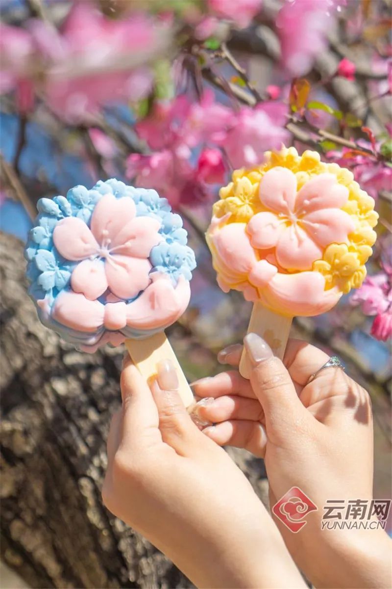 云南省文化和旅游厅