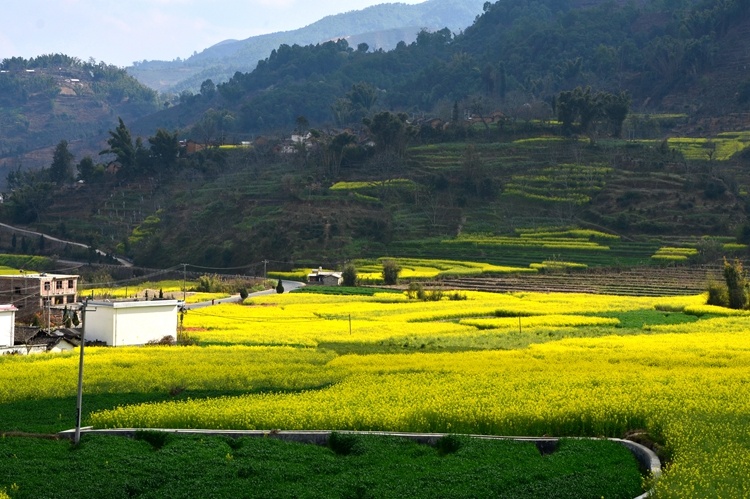 云南省文化和旅游厅