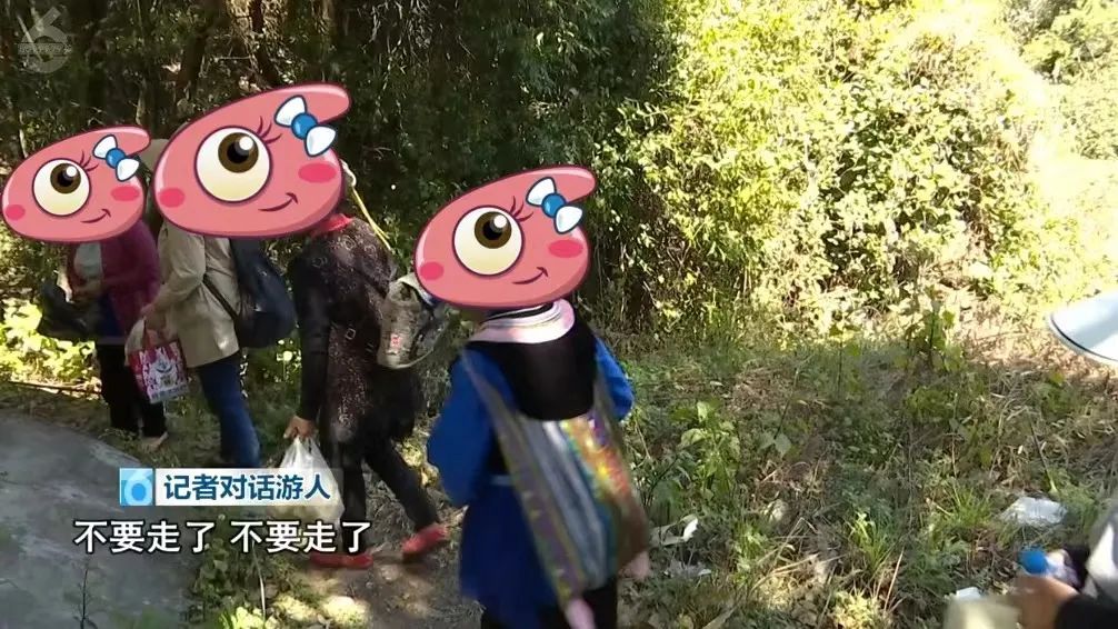 春城晚报