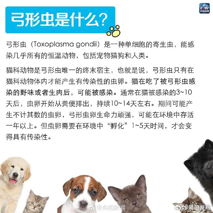 嵩明发布