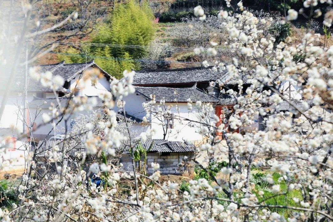 云南省文化和旅游厅