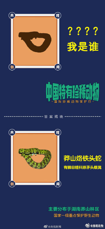 嵩明发布