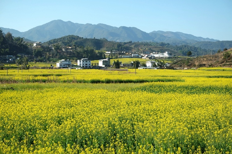 云南省文化和旅游厅