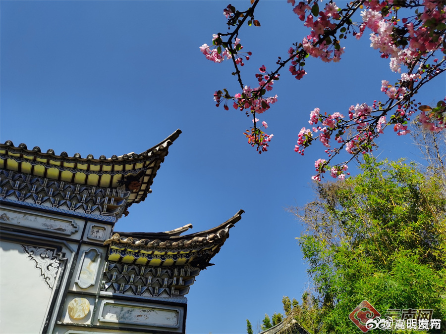 嵩明发布
