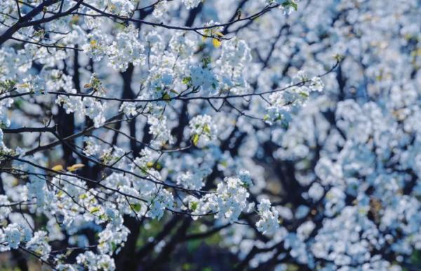 云南省文化和旅游厅