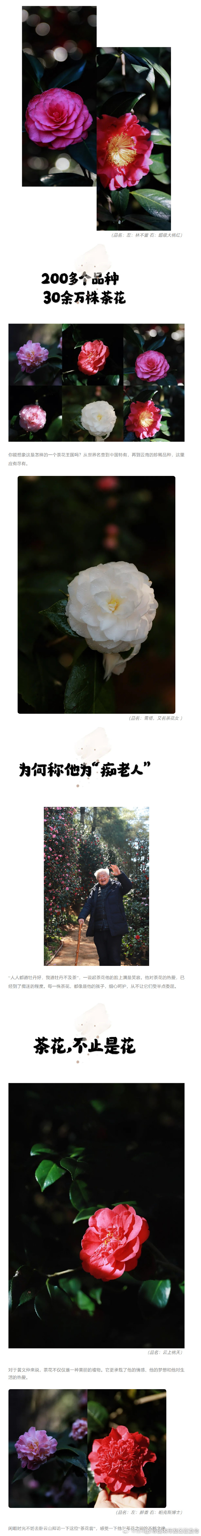 昆明经济技术开发区管委会