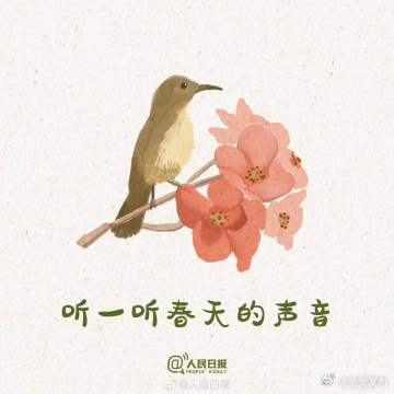呈贡发布
