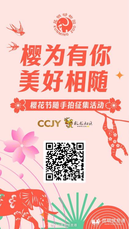 昆明信息港微博