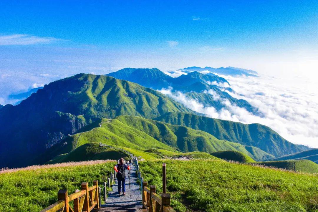 云南省文化和旅游厅
