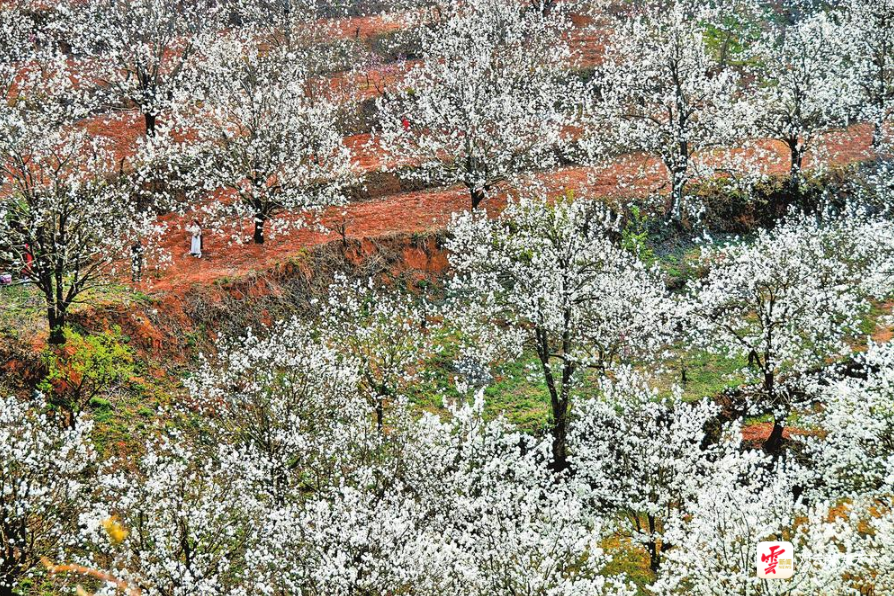 云南省文化和旅游厅