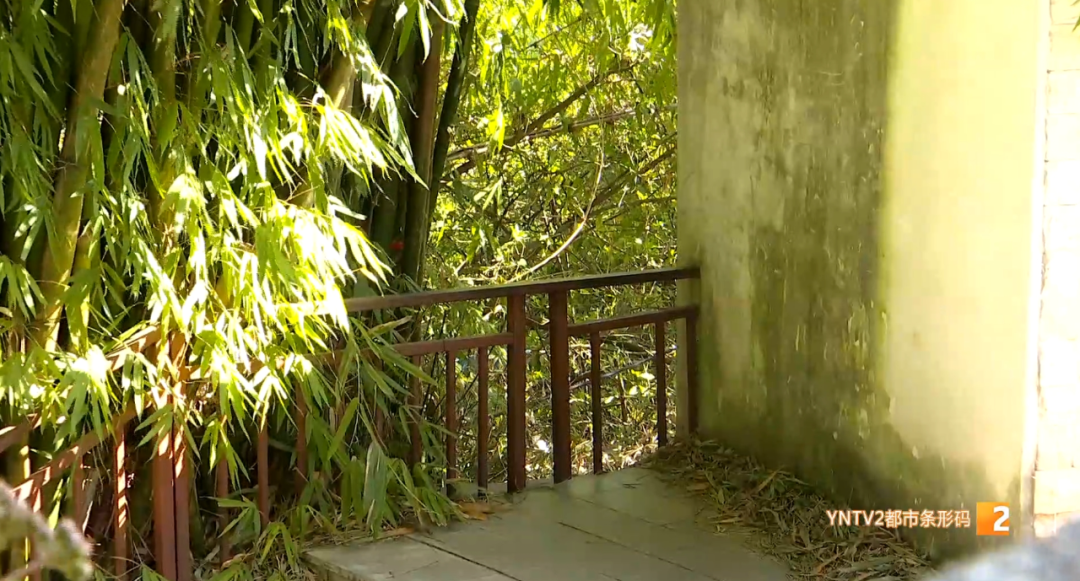 昆明信息港/cnkmxxg