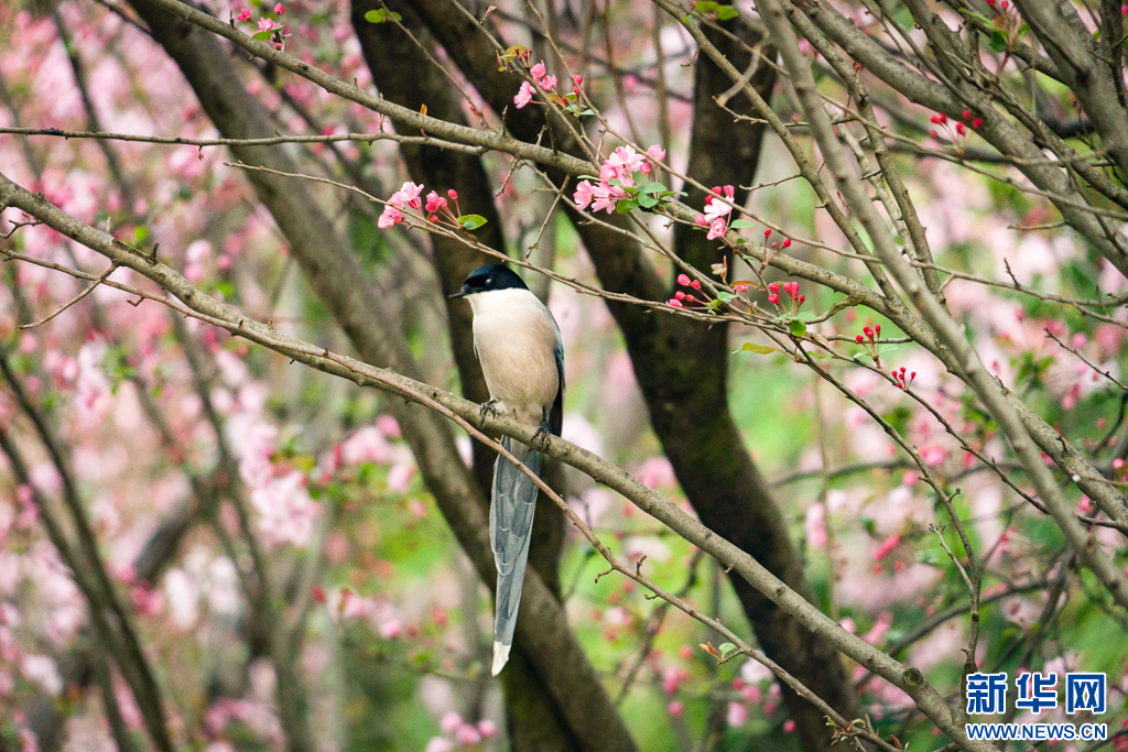 云南省文化和旅游厅