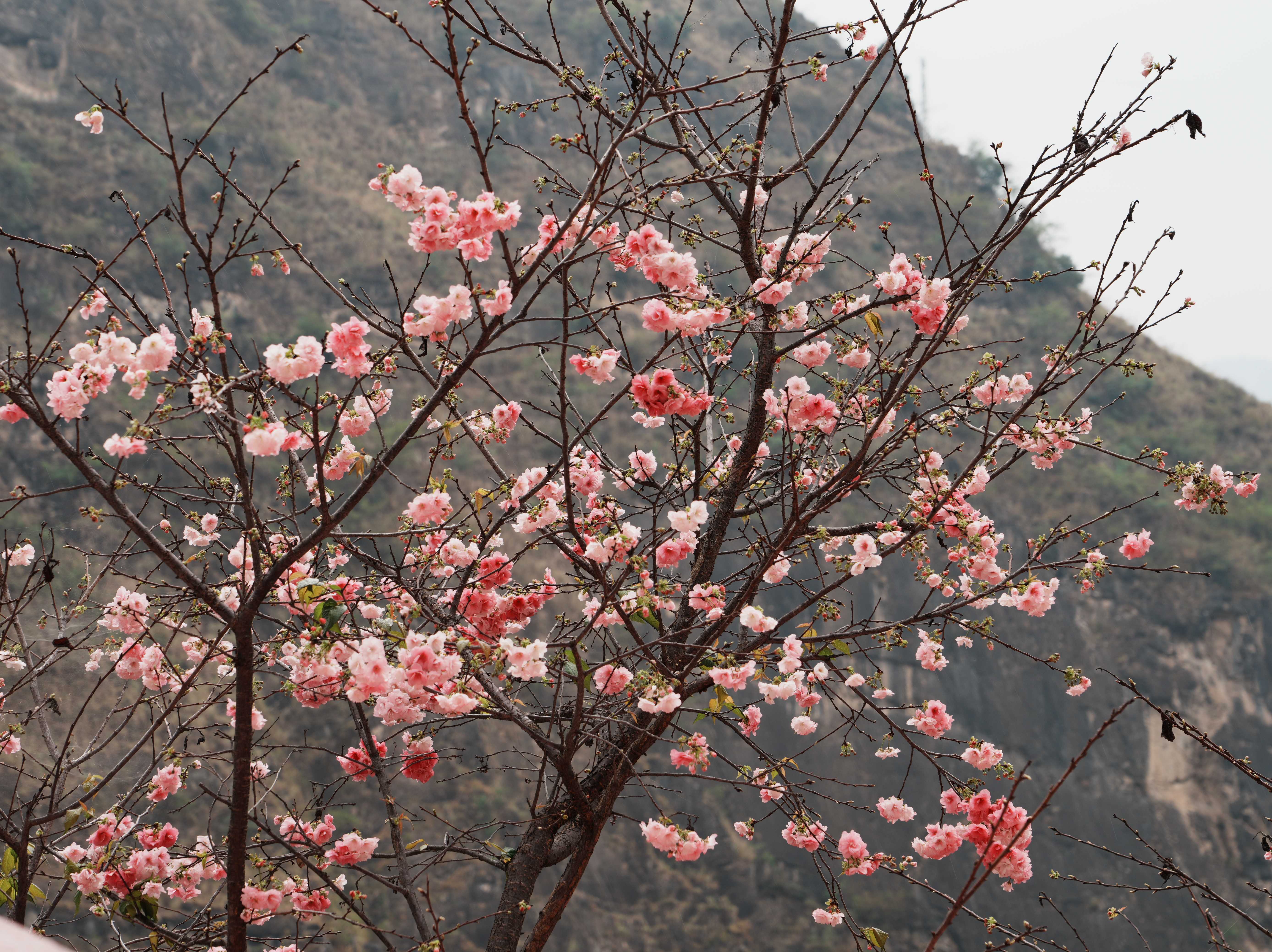 云南省文化和旅游厅