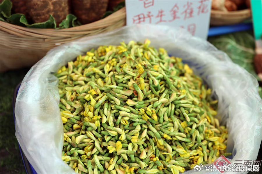 滇池旅游度假区