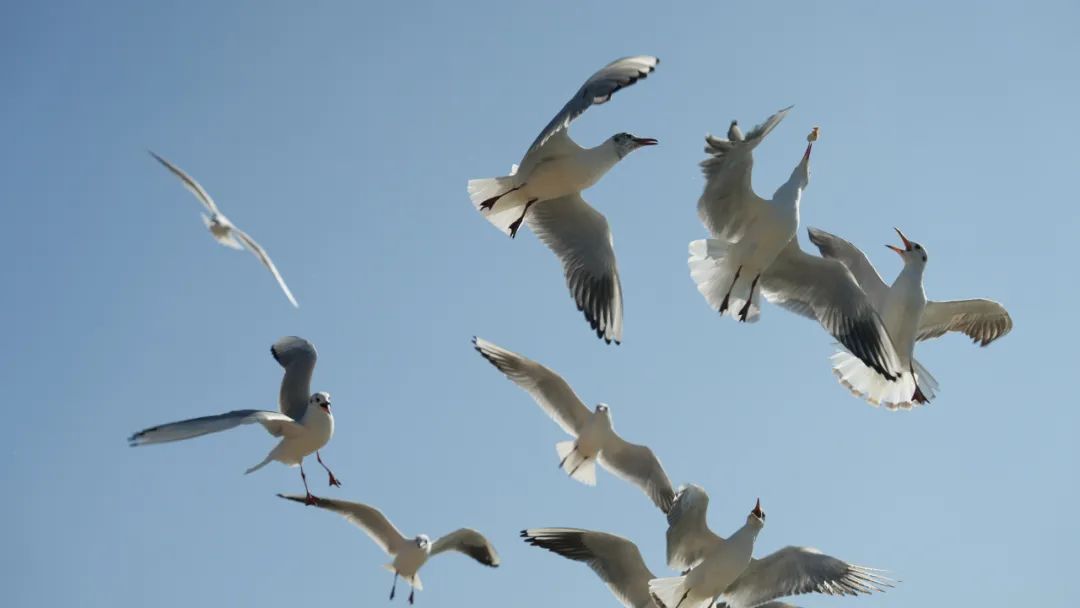 晋宁诗意的栖居地