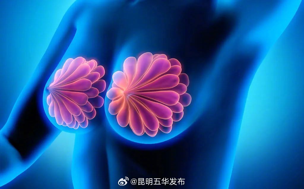 乳腺增生和乳腺结节是什么关系？