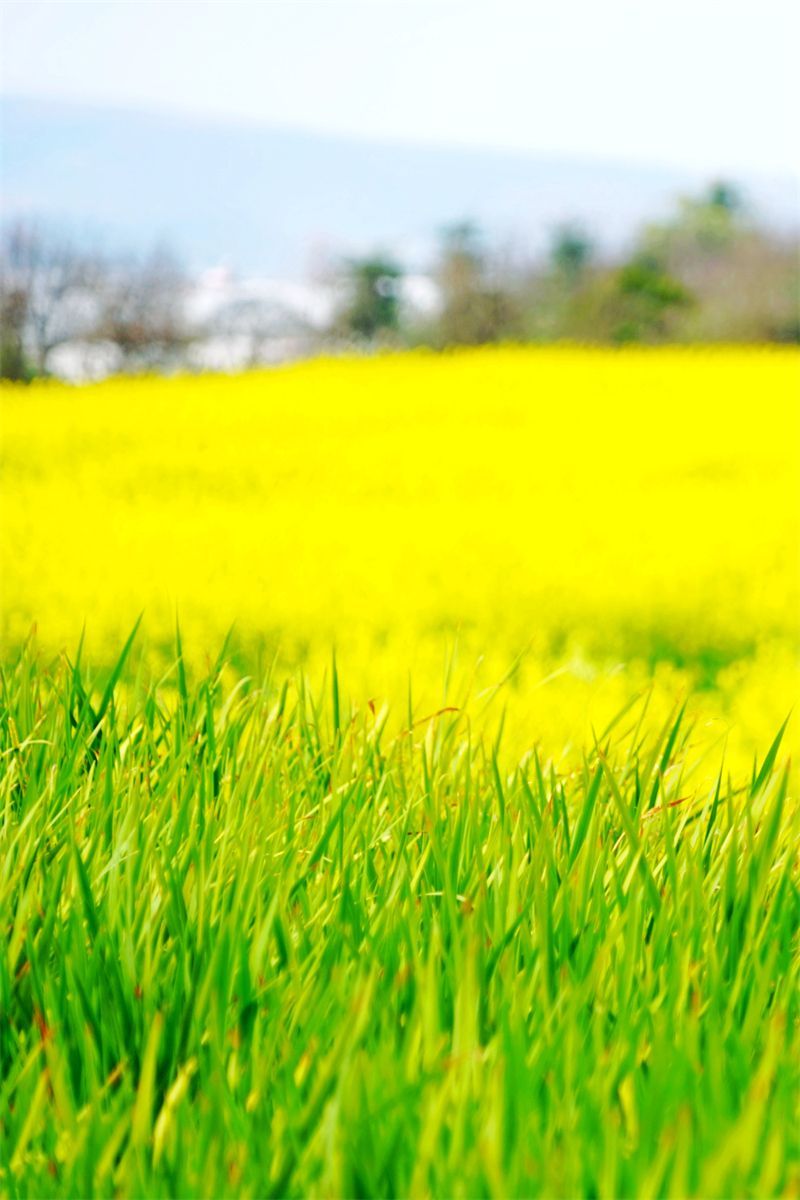 云南省文化和旅游厅