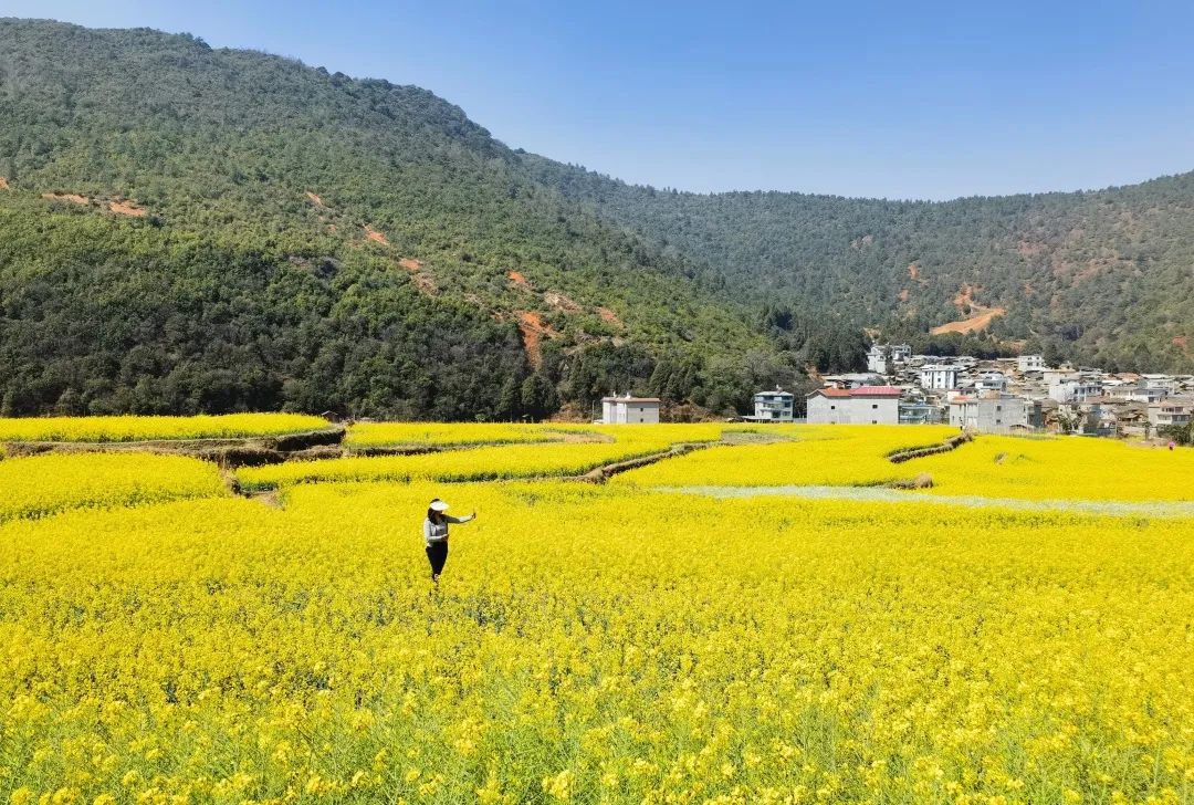 昆明文旅