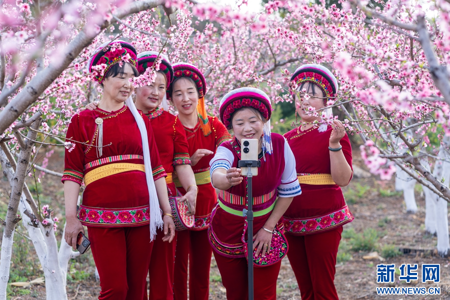 云南省文化和旅游厅