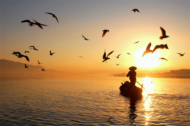 云南省文化和旅游厅