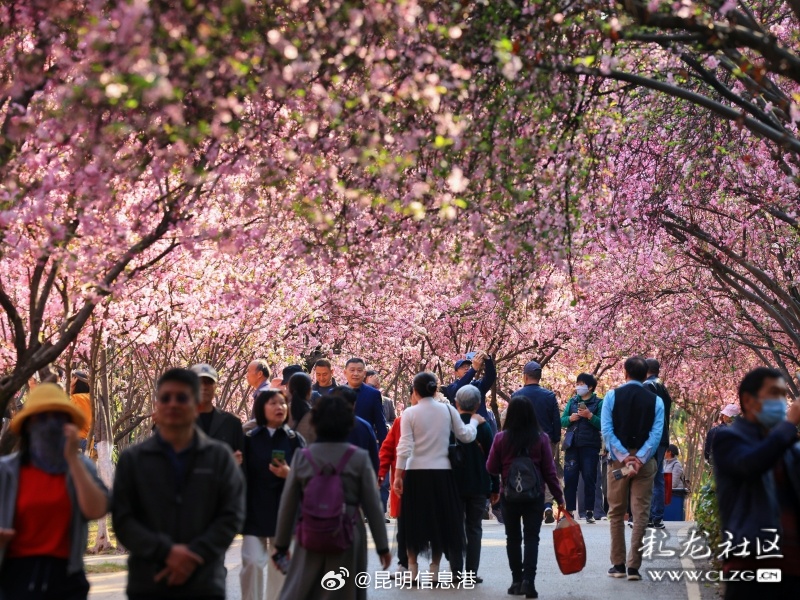 昆明信息港微博