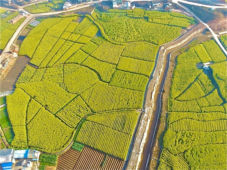 云南省文化和旅游厅