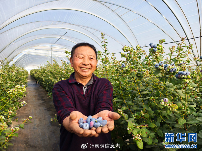 昆明信息港微博