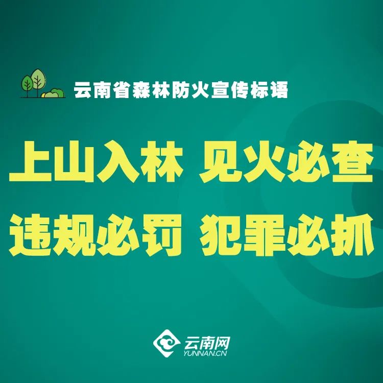 爱上富民