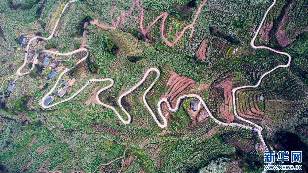 云南省文化和旅游厅