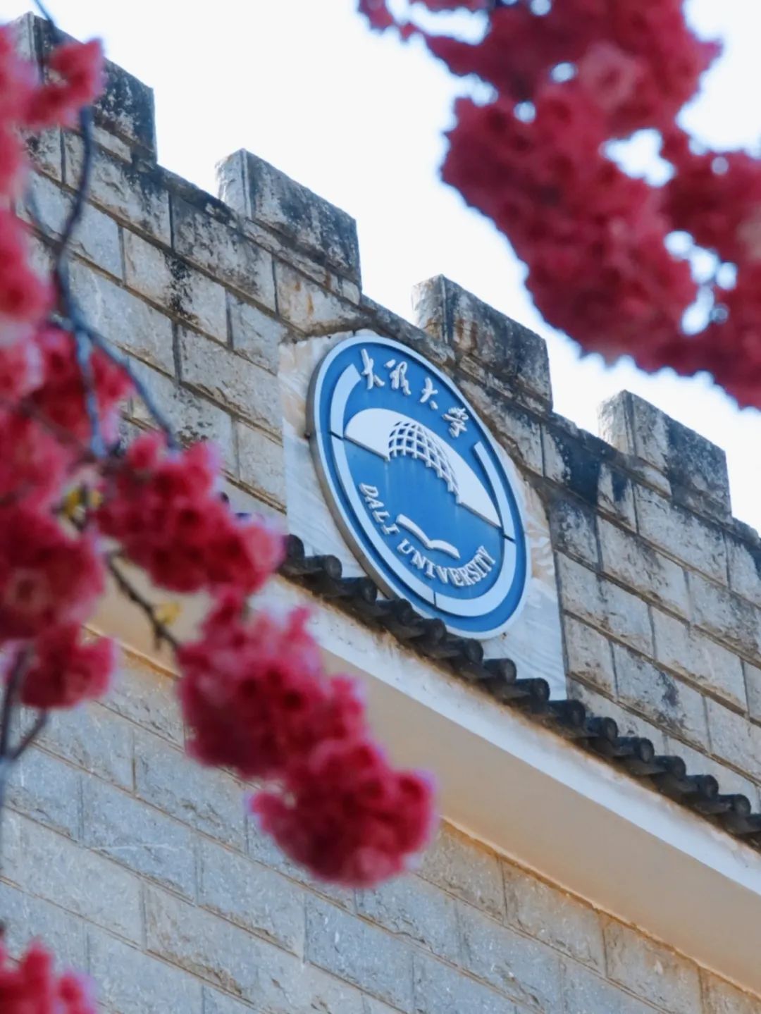 云南省文化和旅游厅