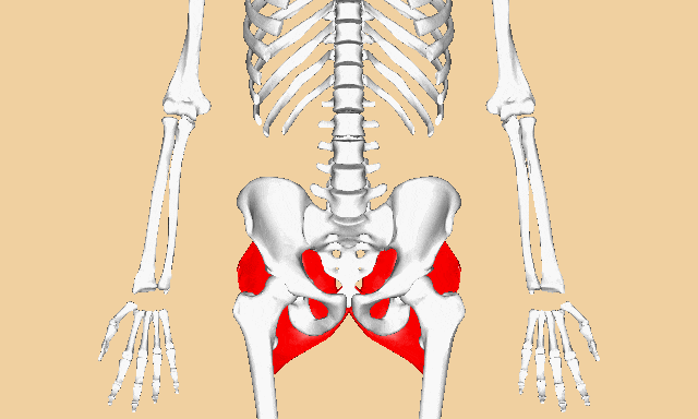 臀部是人体寒气最重的地方