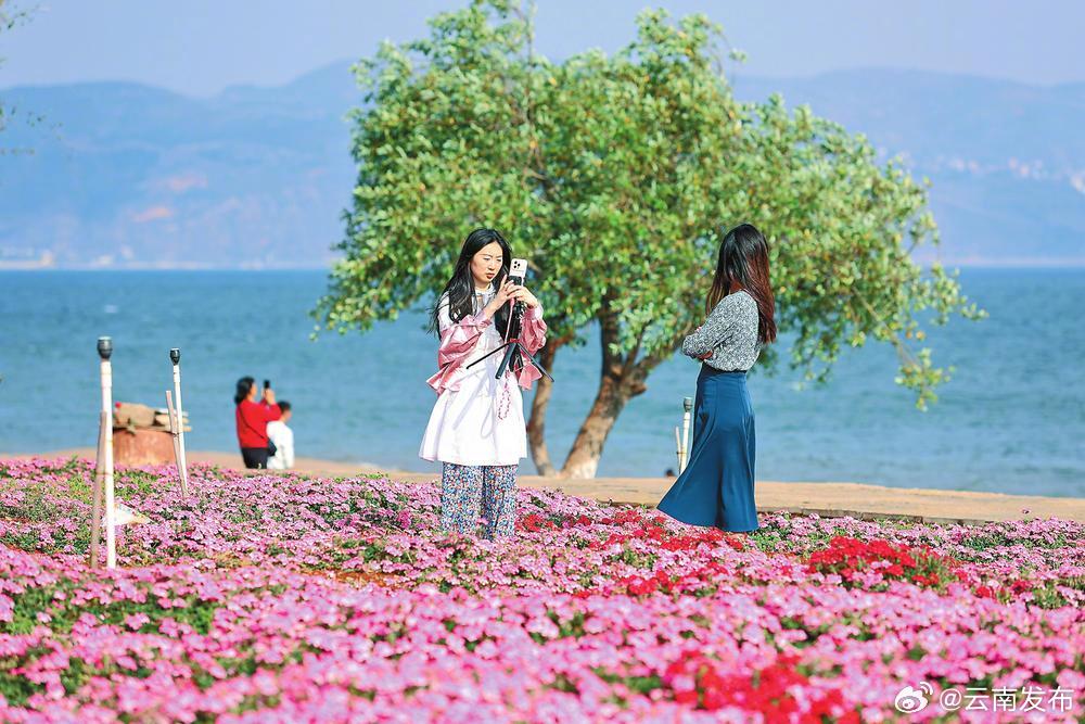 玉溪抚仙湖：高原湖泊生态美