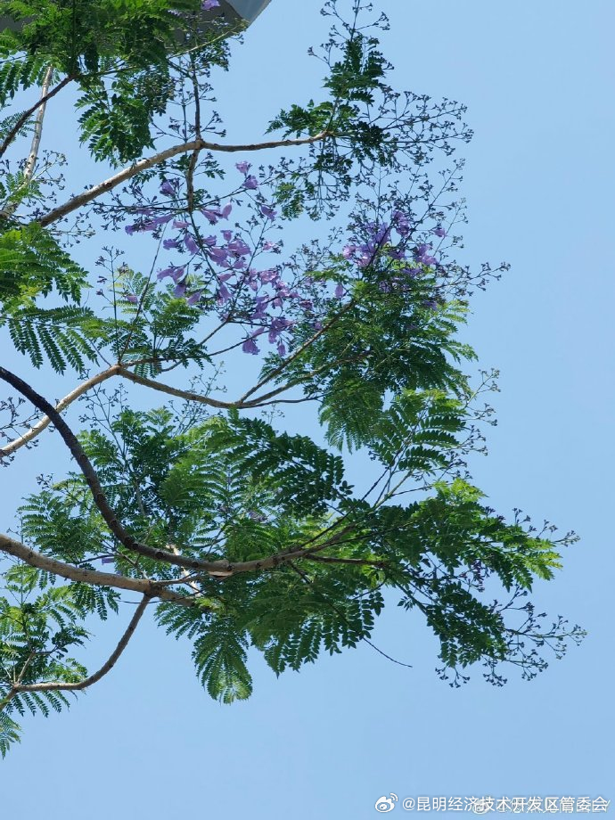 昆明经济技术开发区管委会