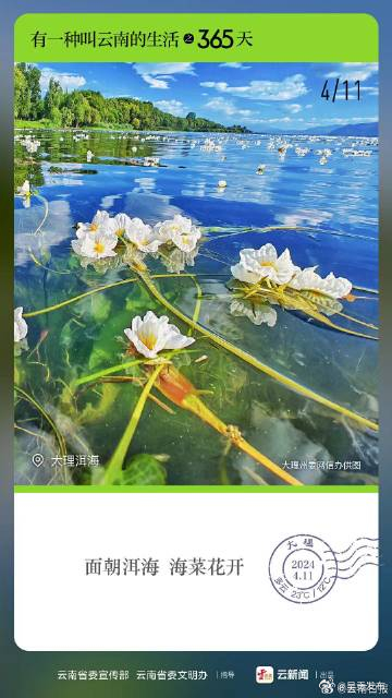 有一种叫云南的生活之365天｜4月11日 仙气飘飘 水中花海