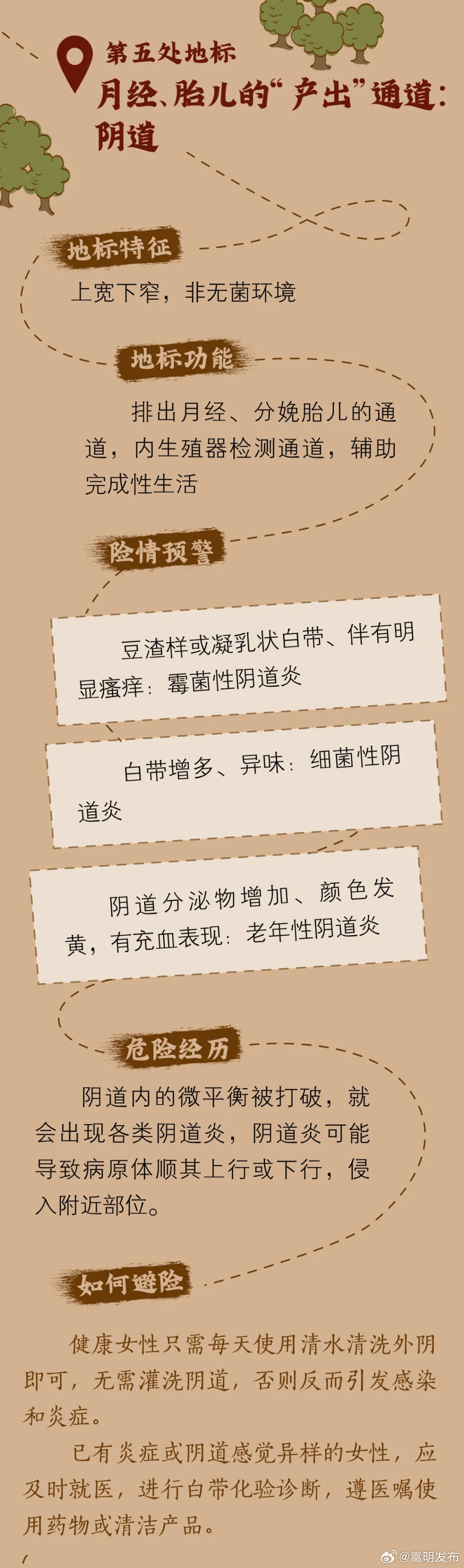 女性生殖系统历险地图_http://www.mainten.cn_ycb_第5张