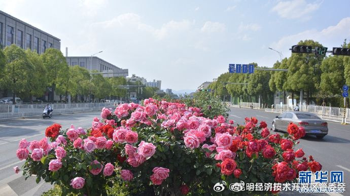 昆明经济技术开发区管委会