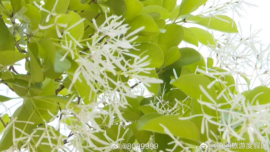 滇池旅游度假区