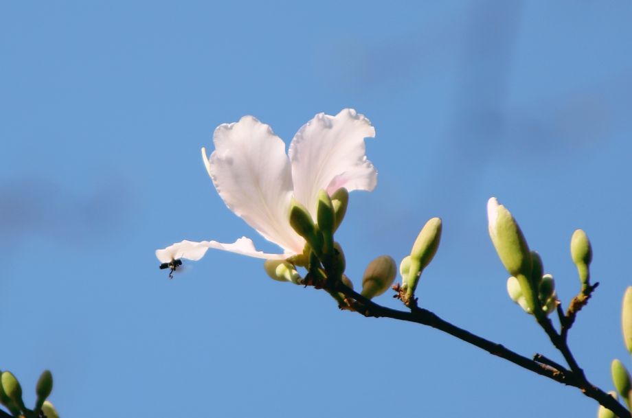 云南省文化和旅游厅