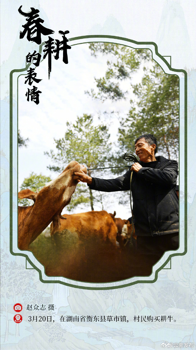 云南发布