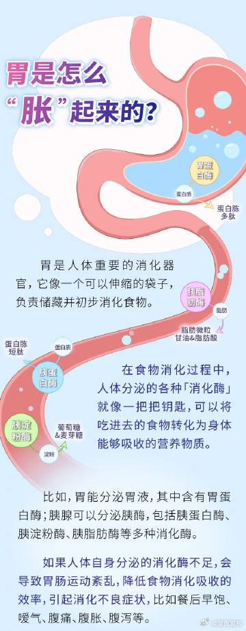 7类人容易胃老先衰_http://www.mainten.cn_ycb_第4张