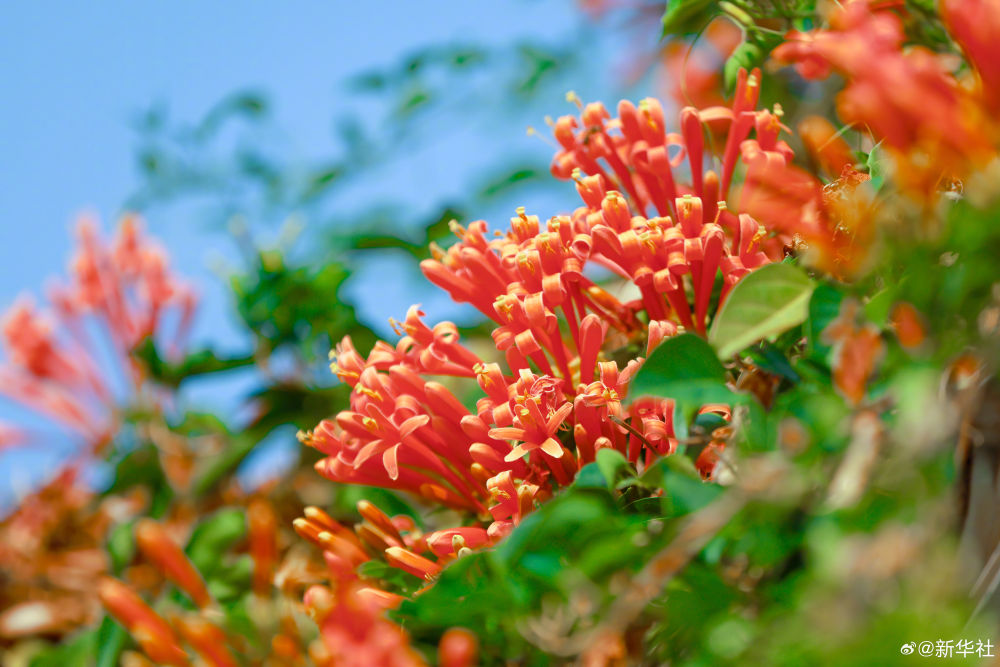 云南省文化和旅游厅