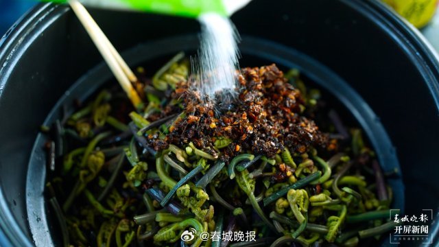 在大理宾川吃一桌野菜，把春天留在肚子里_http://www.mainten.cn_ycb_第4张